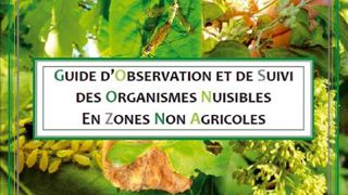 Les protocoles d'épidémio-surveillance sont désormais finalisés et recensés dans ce guide, qui peut servir d'outil à l'ensemble des responsables de la santé du végétal en espaces verts. Les protocoles d'épidémio-surveillance sont désormais finalisés et recensés dans ce guide, qui peut servir d'outil à l'ensemble des responsables de la santé du végétal en espaces verts.