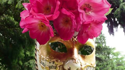 'Tendre mystère', au coloris fuchsia très lumineux, a obtenu en juin dernier le Prix d'honneur de l'Association luxembourgeoise grand-ducale des amis de la rose.