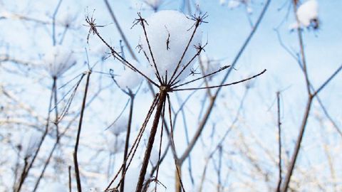 PHOTO : VALÉRIE VIDRIL