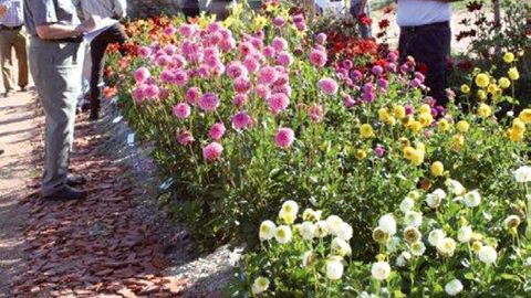 PHOTO : EXCELLENCE VÉGÉTALE