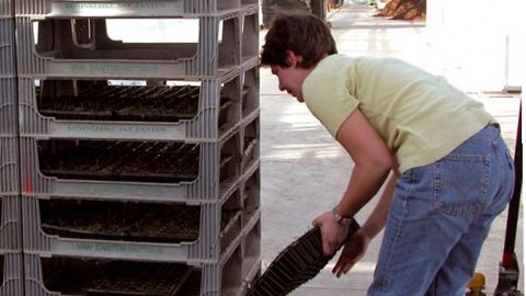 PHOTO : ODILE MAILLARD