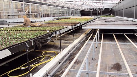 L'aide aux serres va devenir une aide à l'investissement et bénéficier d'une enveloppe distincte du secteur maraîcher.