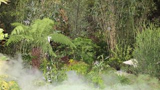 Maître jardinier 2013, le paysagiste Luc Echilley devient le porte-drapeau de la profession durant deux ans. Maître jardinier 2013, le paysagiste Luc Echilley devient le porte-drapeau de la profession durant deux ans.