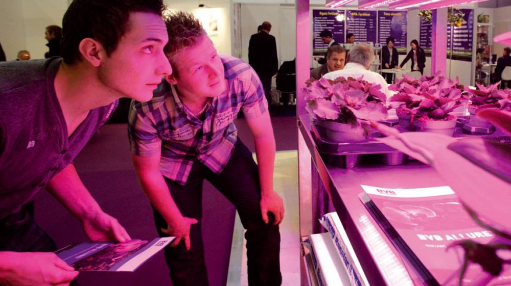 L'éclairage par LED, l'une des tendances de la dernière édition d'Horti Fair, qui a eu lieu du 1er au 4 novembre à Amsterdam, dans le cadre de l'HortiWeek.PHOTO : HORTIFAIR