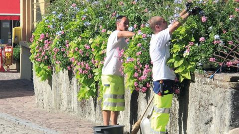 La ville de Masevaux (68) a décroché la distinction suprême du label VVF : la Fleur d'Or.