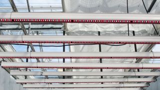 Les Leds offrent des bénéfices plus facilement mesurables dans les productions isolées de leur environnement, que dans les serres exposées à la lumière naturelle. Les Leds offrent des bénéfices plus facilement mesurables dans les productions isolées de leur environnement, que dans les serres exposées à la lumière naturelle.