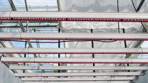 Les Leds offrent des bénéfices plus facilement mesurables dans les productions isolées de leur environnement, que dans les serres exposées à la lumière naturelle.