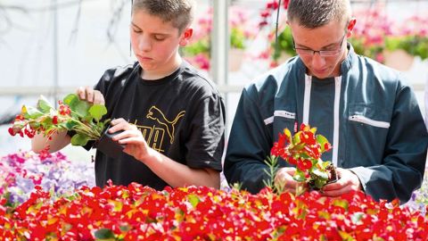 Bien comprendre en quoi consiste chacun des métiers liés au végétal contribue à motiver les jeunes en formation.PHOTO : EPLEFPA LYON-DARDILLY
