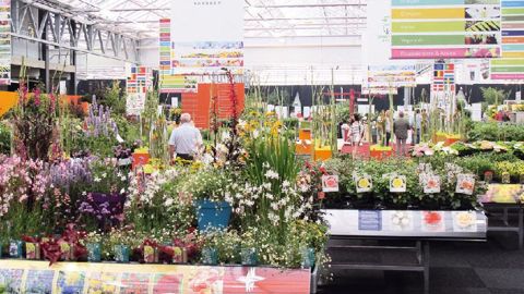 Les « superbourses » proposent des concepts marketing et de vente.PHOTO : ODILE MAILLARD