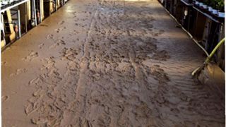 Une aide de 300 000 euros a été débloquée pour venir en aide aux horticulteurs du Var touchés par les inondations (ici les Ets Bury).PHOTO : BURY Une aide de 300 000 euros a été débloquée pour venir en aide aux horticulteurs du Var touchés par les inondations (ici les Ets Bury).PHOTO : BURY