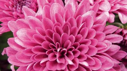 PHOTO : VALÉRIE VIDRIL