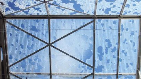 PHOTO : GARTENBAU VERSICHERUNG