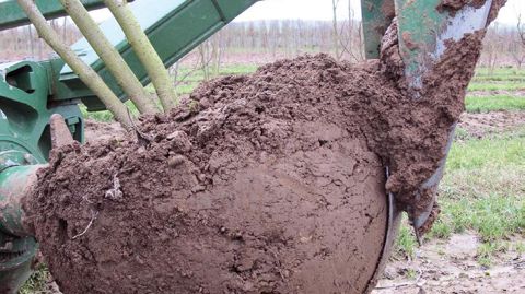 Les aides à l'investissement pourront désormais concerner les pépinières de pleine terre pour, par exemple, des actions visant à réduire la pénibilité...PHOTO : VALÉRIE VIDRIL