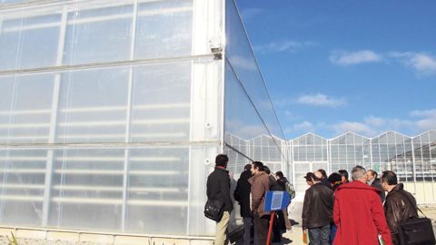 Trois serres ont été mises en place pour le projet visant à réduire la consommation énergétique des serres : deux serres en verre (témoin et serre capteur) et une serre en double paroi plastique F-Clean, ici à gauche.