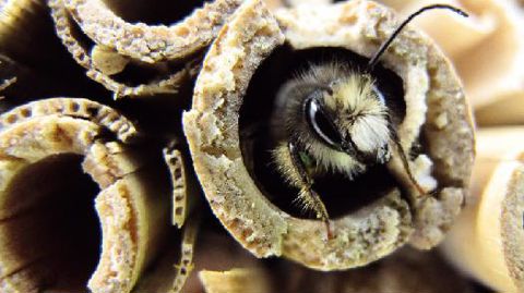 PHOTO : VALÉRIE VIDRIL