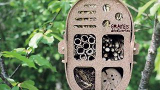 Cet hôtel à insectes en liège, intitulé Graines de découverte, a remporté le prix Spécial kids.PHOTO : WGEC Cet hôtel à insectes en liège, intitulé Graines de découverte, a remporté le prix Spécial kids.PHOTO : WGEC
