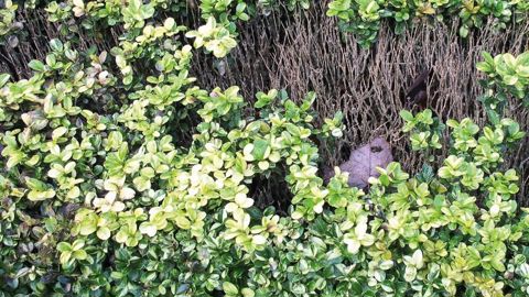 PHOTO : VALÉRIE VIDRIL