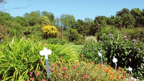 Le séminaire école-entreprise proposé par l'Unep et la DGER vise à mieux faire connaître la diversité du monde végétal.