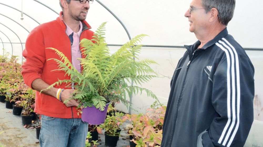 À Mont-près-Chambord (41), les clients de la pépinière Dasmien viennent chercher des conseils, des renseignements, et découvrir de nouvelles plantes et des variétés originales. À Mont-près-Chambord (41), les clients de la pépinière Dasmien viennent chercher des conseils, des renseignements, et découvrir de nouvelles plantes et des variétés originales.