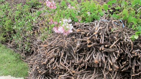 PHOTO : ODILE MAILLARD