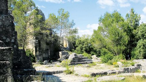 Le label « Végétal local » a été créé pour répondre aux enjeux écologiques et économiques de la restauration des milieux.