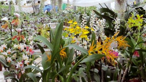 PHOTO : ODILE MAILLARD