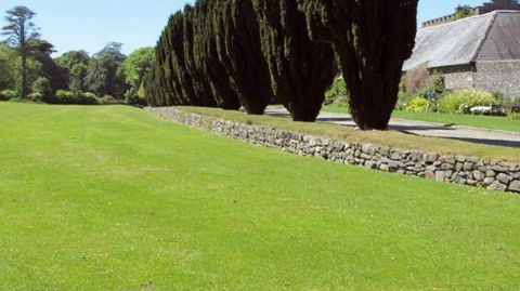 Après le Label Rouge, l'association Progazon assure la promotion d'une autre distinction, Pelouse Éco Durable, réservée à des mélanges permettant de limiter la consommation d'intrants et les tontes.