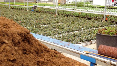 « Quels substrats pour demain ? » Tel sera le thème de la table ronde de conclusion de la première des journées techniques de l'Astredhor, en janvier, à Orléans.