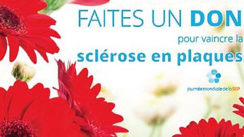 L'affiche 2016 de l'opération. Elle appelle à aider la recherche sur cette maladie inflammatoire du système nerveux central, qui survient dans la majorité des cas chez de jeunes adultes, autour de 30 ans, et touche 100 000 personnes en France.