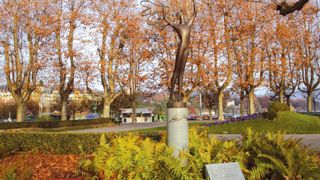 Est-il vraiment rentable d'entretenir les arbres en ville ? Une question volontairement provocatrice posée lors de la dernière journée technique consacrée aux arbres de l'Union suisse des services des parcs et promenades.