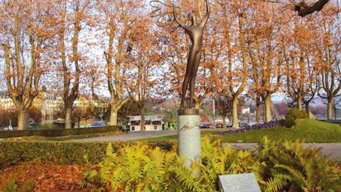 Est-il vraiment rentable d'entretenir les arbres en ville ? Une question volontairement provocatrice posée lors de la dernière journée technique consacrée aux arbres de l'Union suisse des services des parcs et promenades.