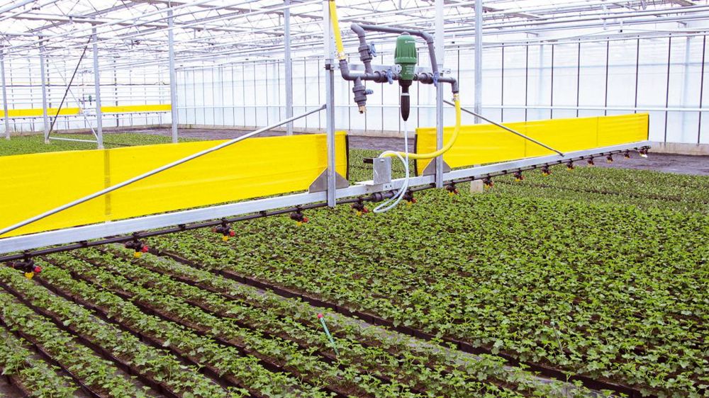 Les innovations doivent permettre de répondre aux enjeux énergétiques, environnementaux et sociétaux. Elles peuvent être technologiques, mais aussi liées à de nouveaux usages des végétaux ou à de nouvelles organisations.PHOTO : VALÉRIE VIDRIL