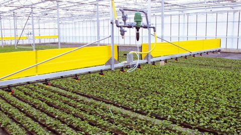 Les innovations doivent permettre de répondre aux enjeux énergétiques, environnementaux et sociétaux. Elles peuvent être technologiques, mais aussi liées à de nouveaux usages des végétaux ou à de nouvelles organisations.PHOTO : VALÉRIE VIDRIL