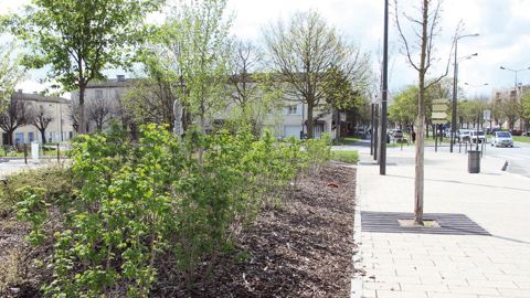 Les échéances 2020 et 2022 doivent offrir les délais nécessaires à l'adoption de nouvelles pratiques. La réduction des pesticides en agriculture sera quant à elle traitée dans le cadre de la loi d'avenir agricole.PHOTO : PASCAL FAYOLLE