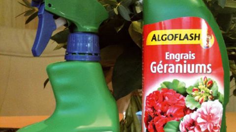 À partir du 1er octobre 2013, les entreprises de distribution de produits phytopharmaceutiques pour le grand public devront avoir obtenu leur agrément.