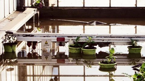 Gartenbau Versicherung a recensé à ce jour cinq exploitations horticoles varoises parmi ses assurés.PHOTO : GARTENBAU VERSICHERUNG