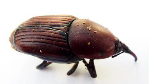 PHOTO : VALÉRIE VIDRIL