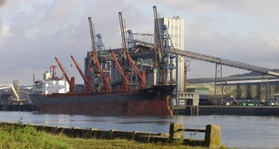 La valeur des exportations de blé tendre a chuté de 202 millions d'euros