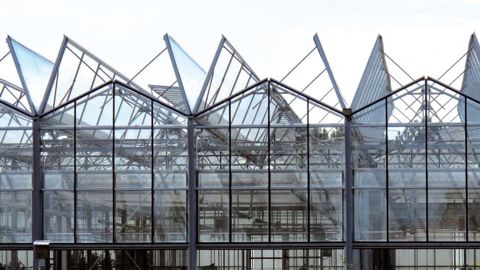 Parmi les aides, seront abordées celles concernant les investissements en serres et pépinières.PHOTO : ODILE MAILLARD