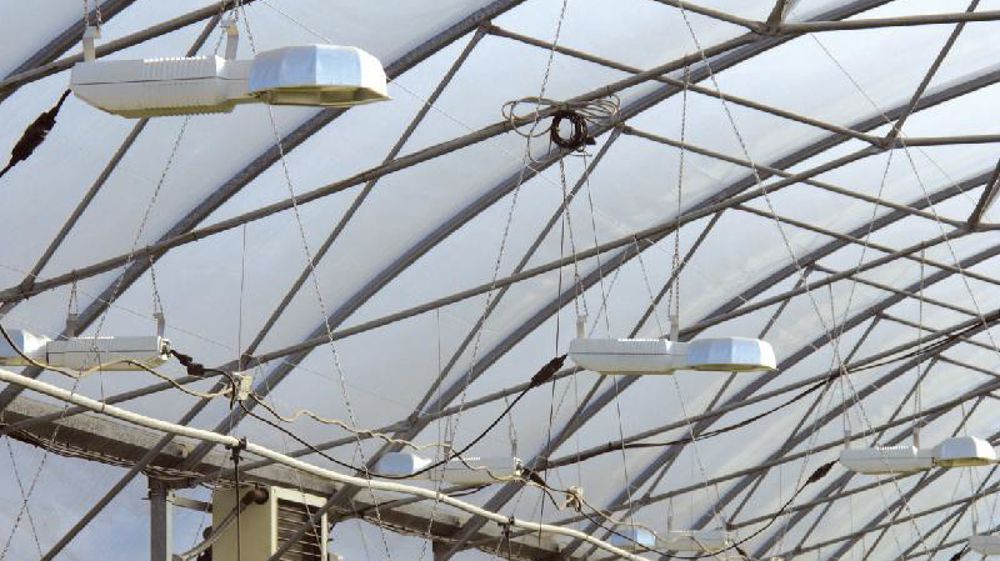 Il serait possible d'ajuster le planning d'éclairage pour réduire la facture d'énergie, sans impact sur la production, tant que la quantité moyenne de lumière est conservée.