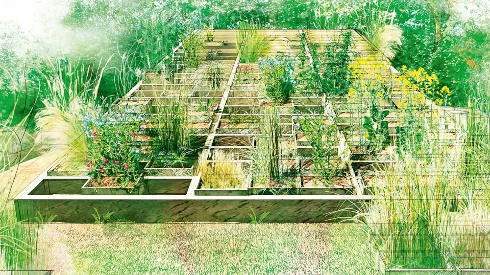 Le champ des possibles, croquis de l'une des réalisations à découvrir au Festival international de Chaumont-sur-Loire, cette année. Un jardin où s'organisent et se transforment les plantes exploitables par l'homme.ILLUSTRATION : DR