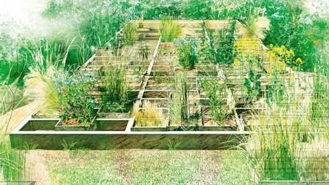 Le champ des possibles, croquis de l'une des réalisations à découvrir au Festival international de Chaumont-sur-Loire, cette année. Un jardin où s'organisent et se transforment les plantes exploitables par l'homme.ILLUSTRATION : DR