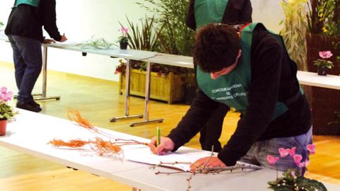 En fonction de leur catégorie, les élèves devaient reconnaître vingt, trente ou quarante plantes.