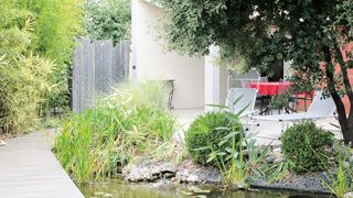 Près de quatre propriétaires de jardins urbains sur cinq y possèdent au moins un végétal, mais leur frein est l'entretien de ces plantes et l'absence de savoir-faire.  Près de quatre propriétaires de jardins urbains sur cinq y possèdent au moins un végétal, mais leur frein est l'entretien de ces plantes et l'absence de savoir-faire.