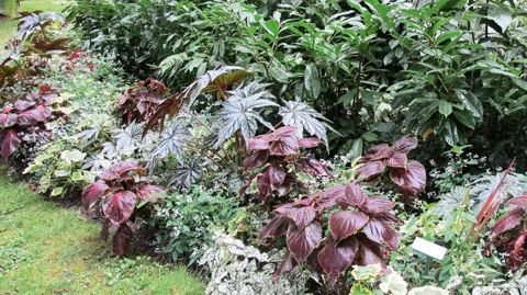 PHOTO : ODILE MAILLARD