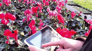 Gérer le suivi des cultures, les disponibles, les prendre en photo, le tout à partir d'une tablette : tel est le service Mobil Vision, lancé par La Graine informatique. Gérer le suivi des cultures, les disponibles, les prendre en photo, le tout à partir d'une tablette : tel est le service Mobil Vision, lancé par La Graine informatique.