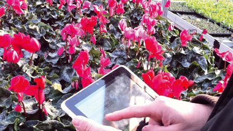 Gérer le suivi des cultures, les disponibles, les prendre en photo, le tout à partir d'une tablette : tel est le service Mobil Vision, lancé par La Graine informatique.