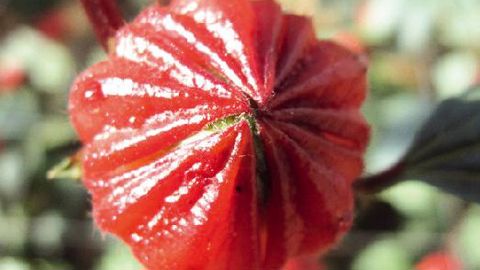 PHOTO : VALÉRIE VIDRIL