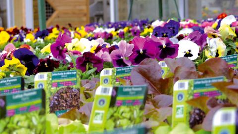 Sur les points de vente, il faut afficher que les prix indiqués ne tiennent pas compte de la hausse de la TVA intervenue au 1er janvier 2012.PHOTO : FRANCIS GINESTET