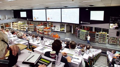 Les conséquences sociales du regroupement des cadrans de Bleiswijk (notre photo) et Naaldwijk en un seul marché pour fleuristes à Naaldwijk font partie des divers points de désaccord.